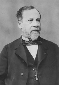 Ritratto di Louis Pasteur